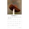 Brush Dance; Magic Mushrooms | 2027 12 x 24 Inch (Hanging) Monthly Square Wall Calendar | Plastic-Free; Category:Wall Calendars; Image:5